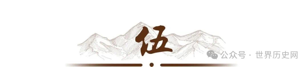 这个国家为何高悬大清帝国国旗,且至今与我国未建立外交关系,背后究竟隐藏着怎样的历史遗留问题?(图14) 微信图片_202501162154363.jpg