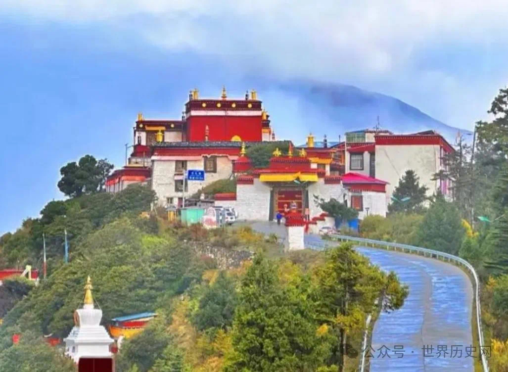 这个国家为何高悬大清帝国国旗,且至今与我国未建立外交关系,背后究竟隐藏着怎样的历史遗留问题?(图15) 微信图片_202501162154364.jpg