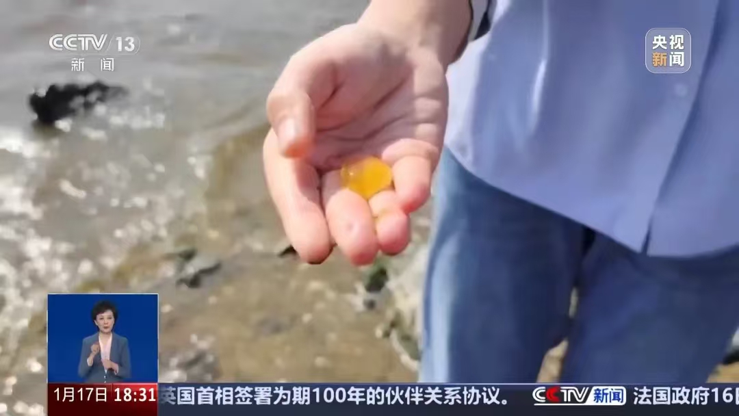 华南沿海密集出现“爆爆珠”?多地提醒→(图2) 微信图片_20250118221728.jpg