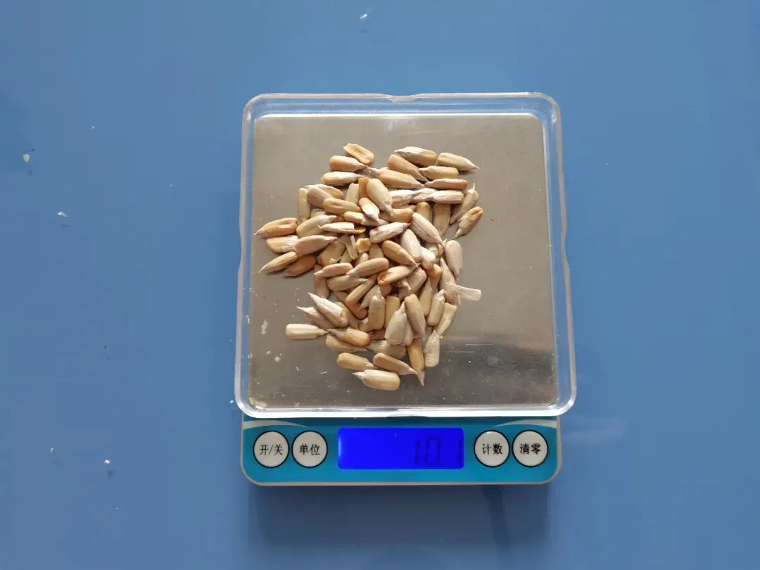 有毒还致癌,吃到这种瓜子要马上吐出来!(图8) 微信图片_202501312203541.png