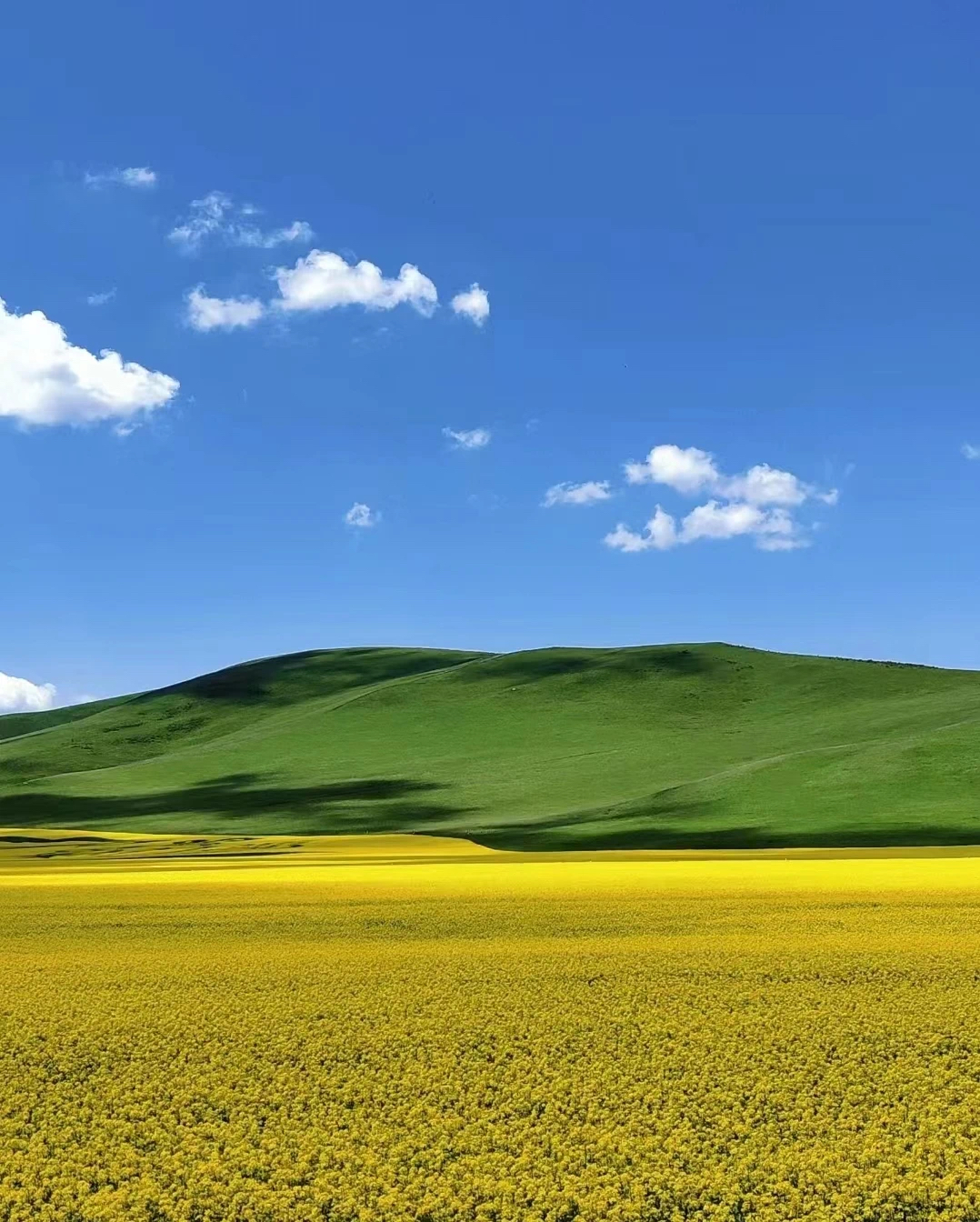 今年春节的14大反常现象(图1) 微信图片_20250202221905.jpg