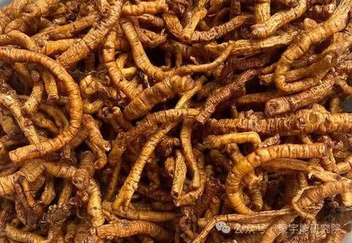 金日光教授:【永不忘当年钱老劝导我们“用当代科学传承《黄帝内经》医理和建立《中药本草》科学药理标准”的教导】• 十八(图28) 微信图片_202502122317551.png