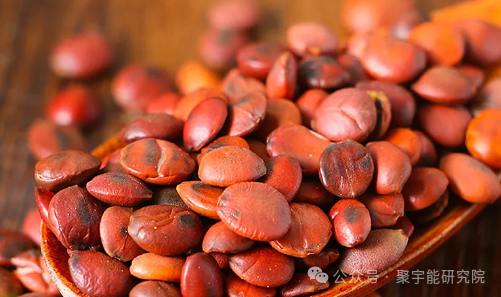 金日光教授:【永不忘当年钱老劝导我们“用当代科学传承《黄帝内经》医理和建立《中药本草》科学药理标准”的教导】• 十八(图30) 微信图片_202502122317552.png