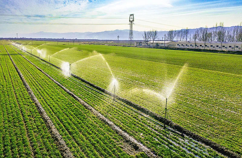 首次提到!中央一号文件释放了哪些新信号?(图3) 微信图片_202502232211531.jpg