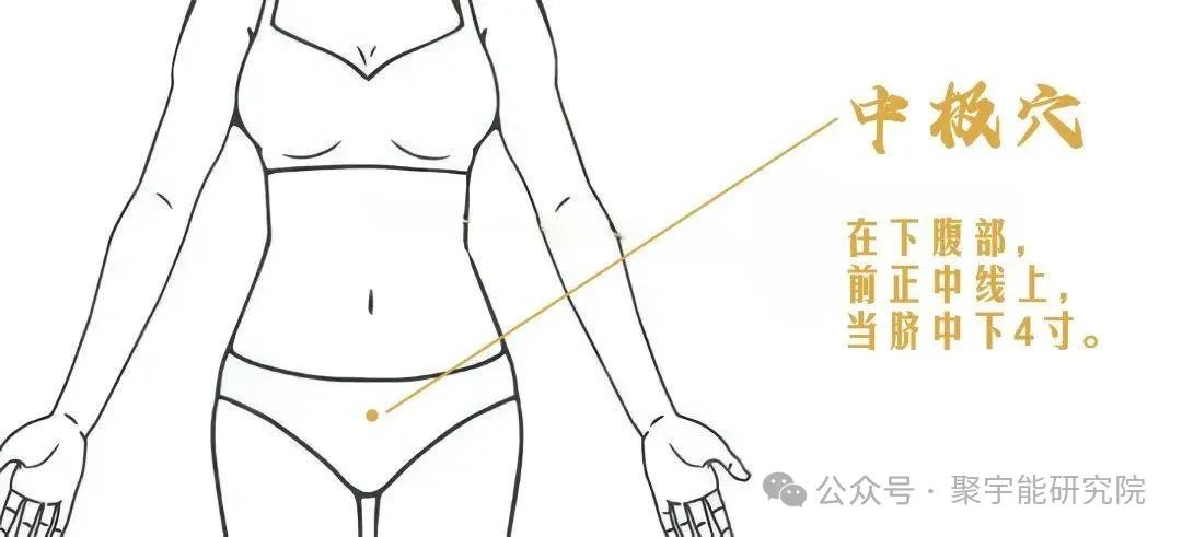 金日光教授:【永不忘当年钱老劝导我们“用当代科学传承《黄帝内经》医理和建立《中药本草》科学药理标准”的教导】• 三十八(图12) 金日光教授:【永不忘当年钱老劝导我们“用当代科学传承《黄帝内经》医理和建立《中药本草》科学药理标准”的教导】• 三十八(图12)