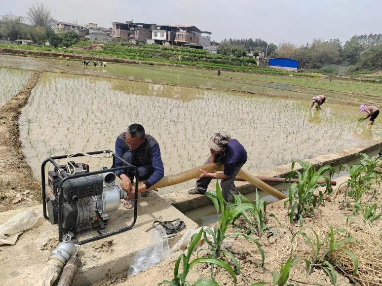广西超40万人因干旱受灾,最新消息→(图3) 微信图片_20250421220405.jpg