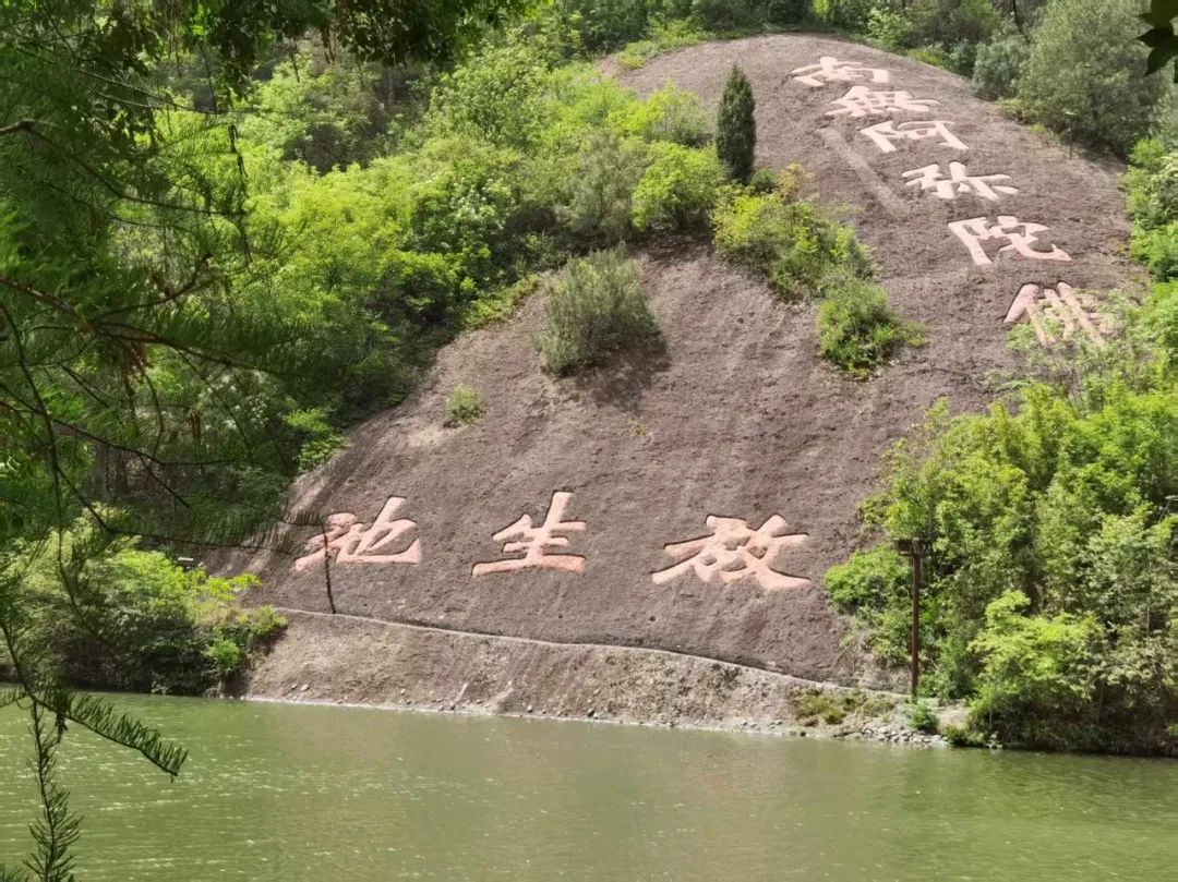 岑国荣丨新昌大佛寺的文化视角(图25) 岑国荣丨新昌大佛寺的文化视角(图25)