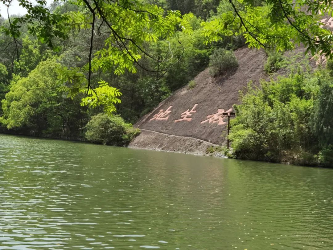岑国荣丨新昌大佛寺的文化视角(图26) 岑国荣丨新昌大佛寺的文化视角(图26)