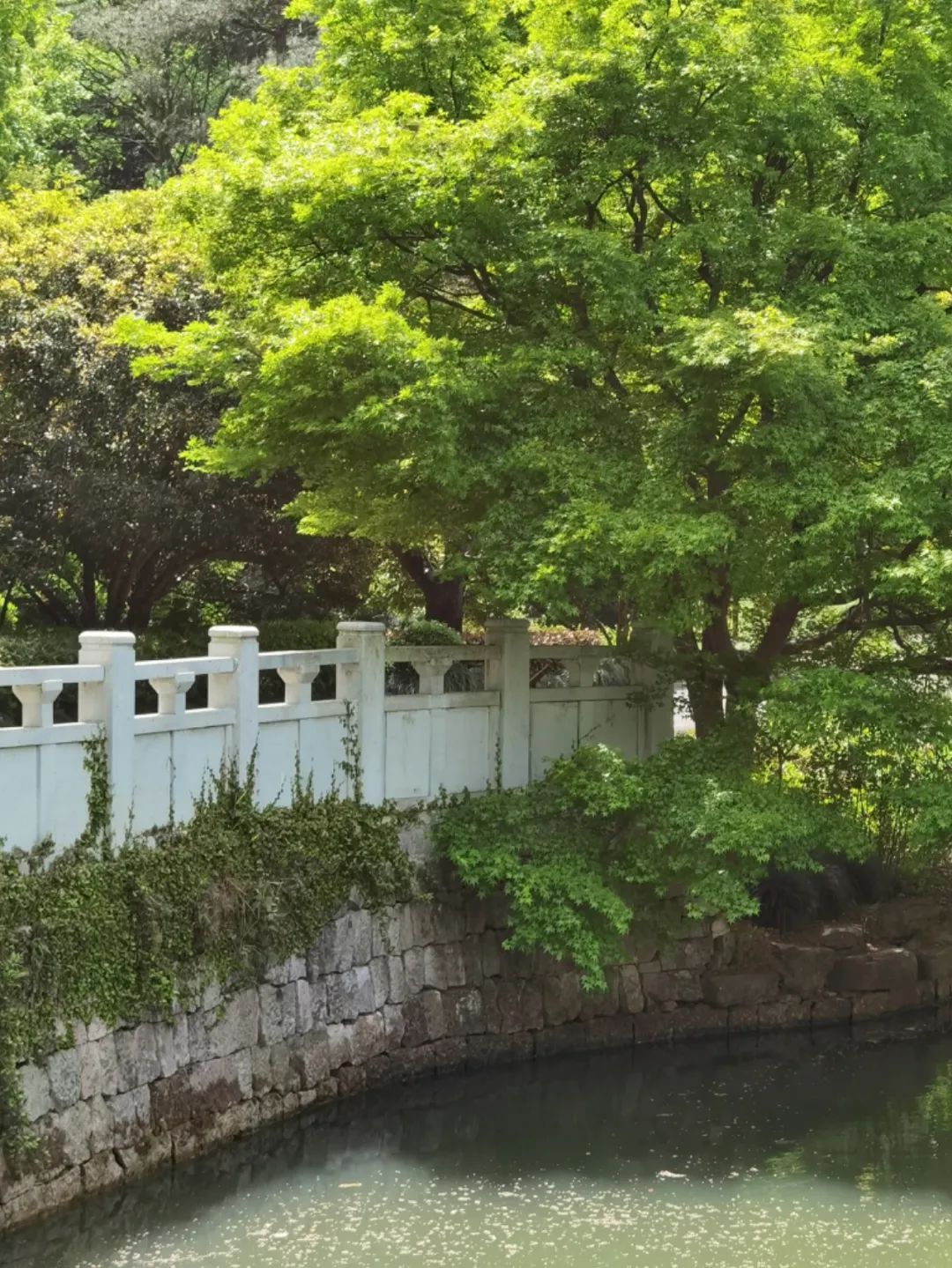 岑国荣丨新昌大佛寺的文化视角(图30) 岑国荣丨新昌大佛寺的文化视角(图30)