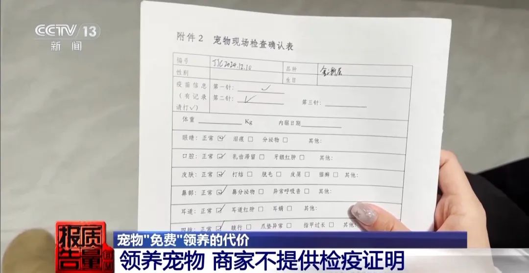 “免费送猫”背后的天价陷阱(图3) 图片