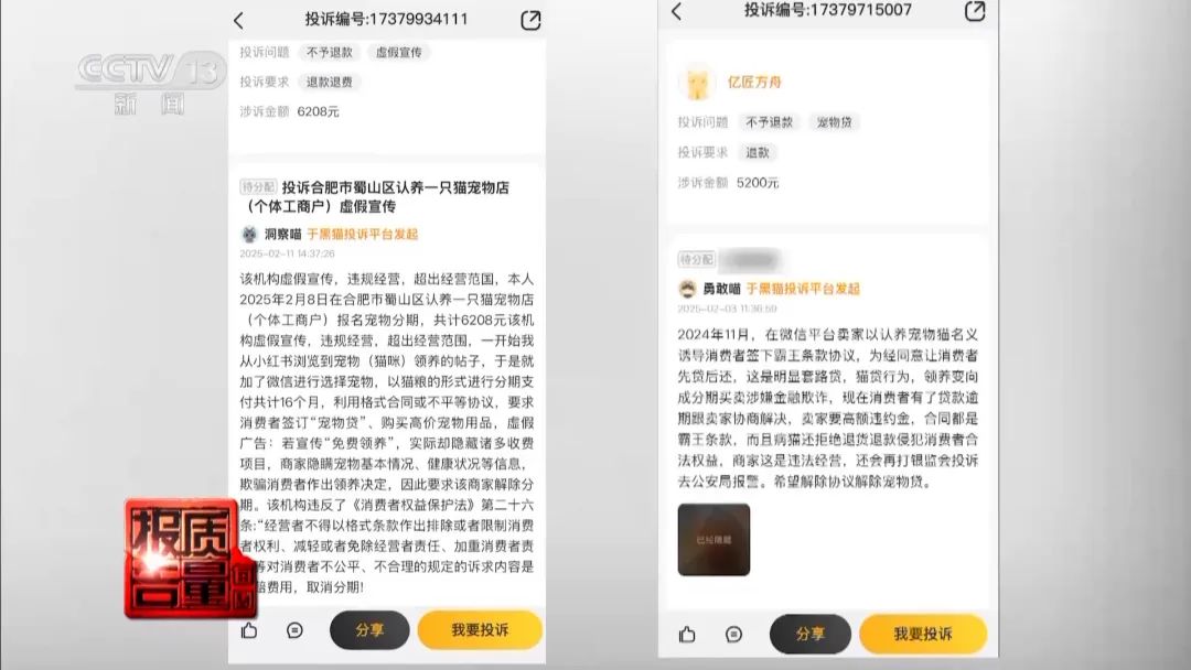 “免费送猫”背后的天价陷阱(图8) 图片