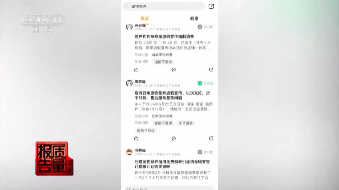“免费送猫”背后的天价陷阱(图7) 图片