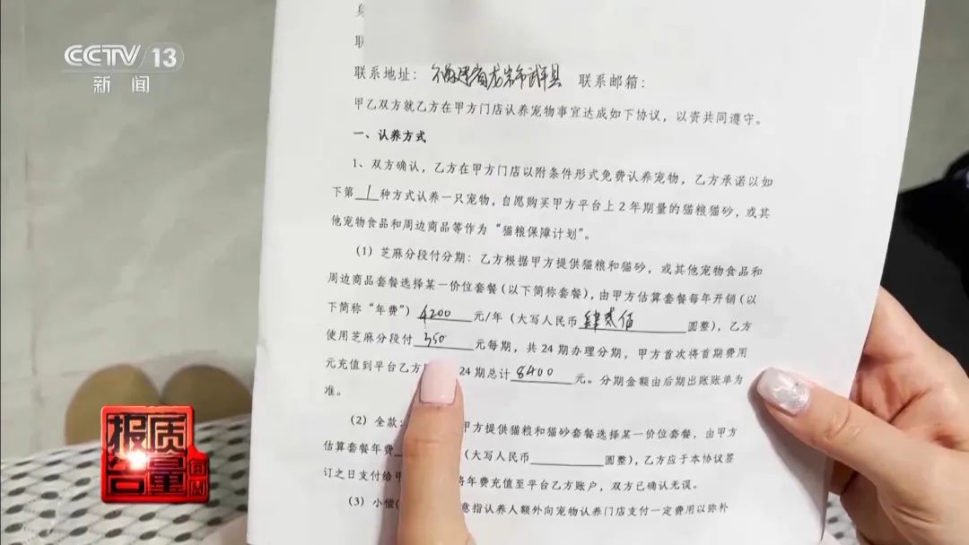 “免费送猫”背后的天价陷阱(图18) 图片