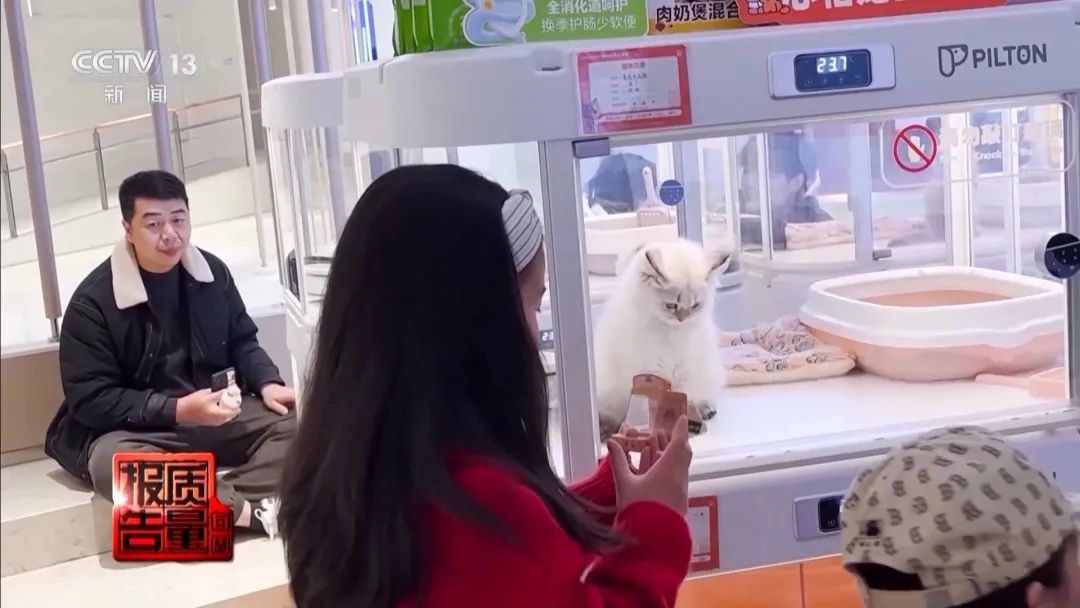 “免费送猫”背后的天价陷阱(图17) 图片