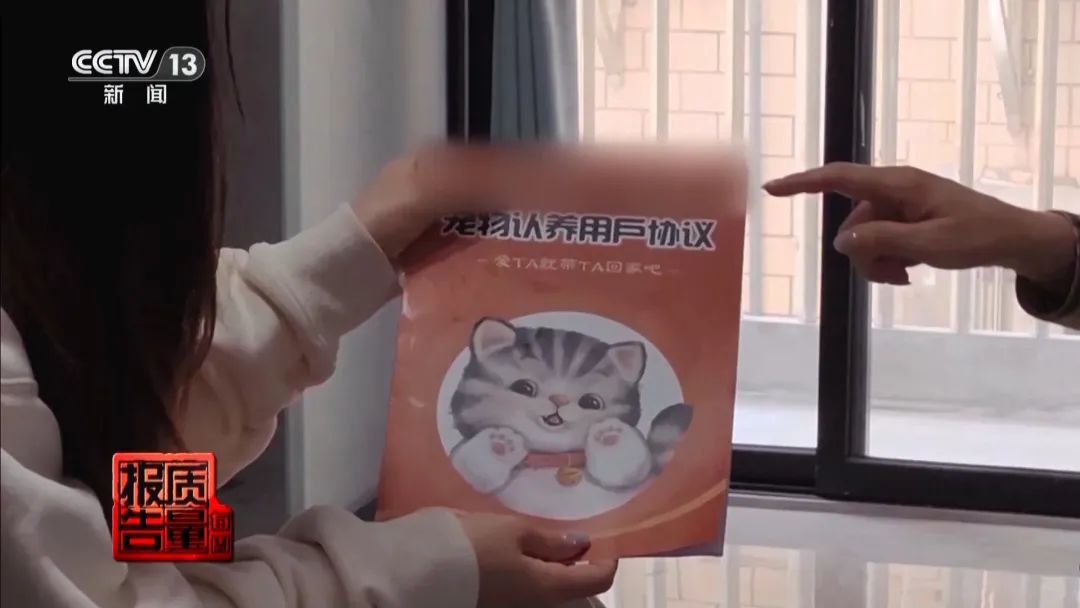 “免费送猫”背后的天价陷阱(图16) 图片