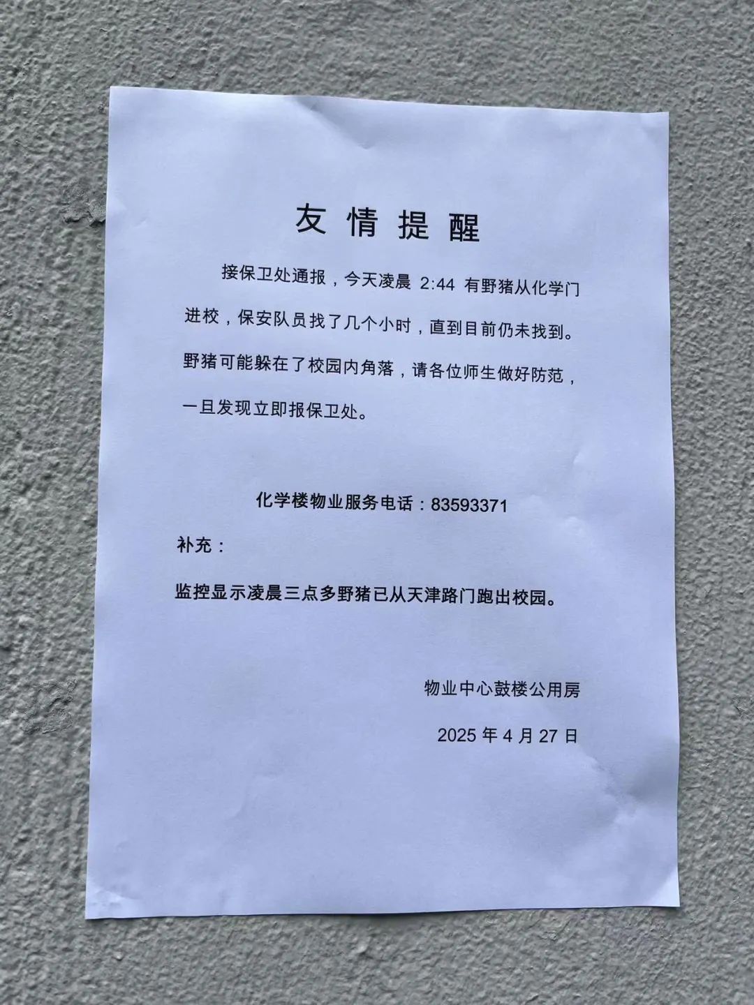 冲进江苏电视台的野猪,被抓捕了!(图5) 图片