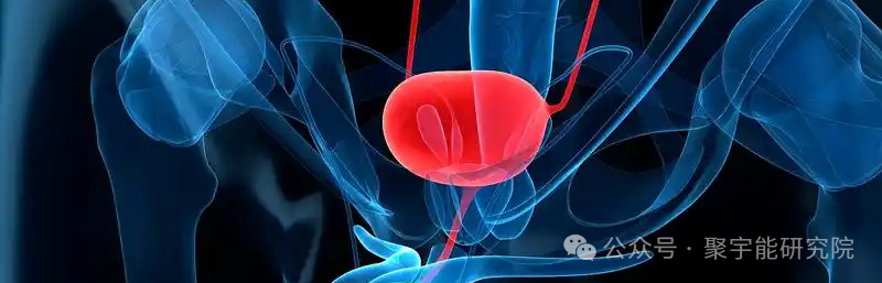 金日光教授:【永不忘当年钱老劝导我们“用当代科学传承《黄帝内经》医理和建立《中药本草》科学药理标准”的教导】• 四十五(图10) 图片