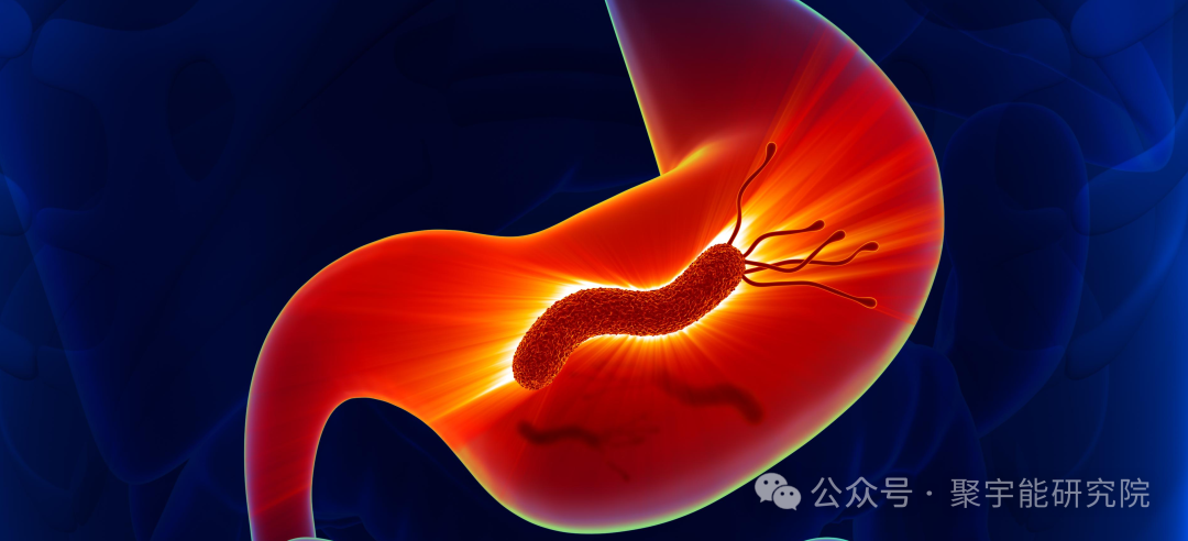 金日光教授:【永不忘当年钱老劝导我们“用当代科学传承《黄帝内经》医理和建立《中药本草》科学药理标准”的教导】• 四十五(图11) 图片