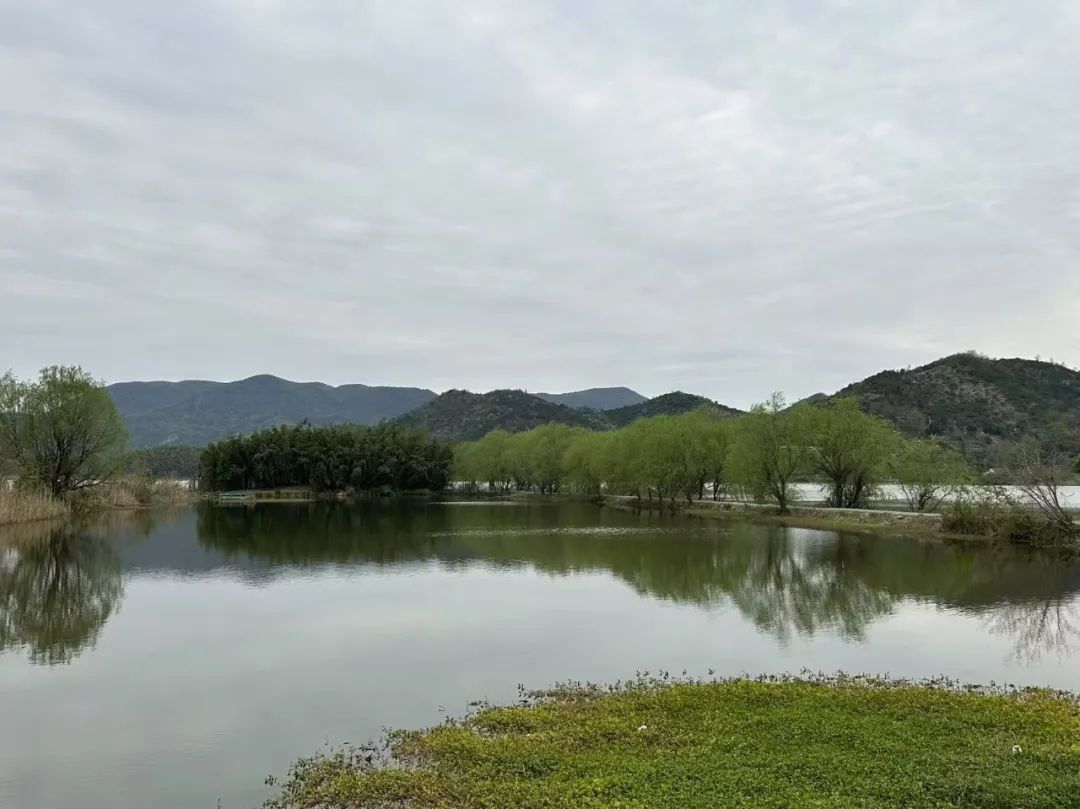 岑国荣丨鸣鹤古镇的文化魅力(图2) 图片