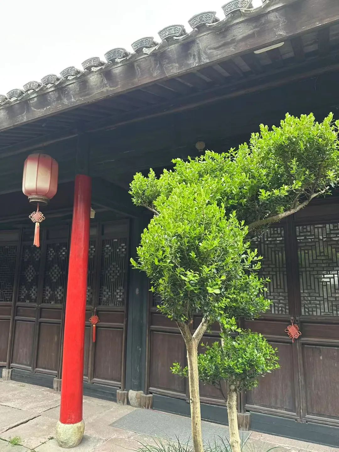 岑国荣丨鸣鹤古镇的文化魅力(图34) 图片