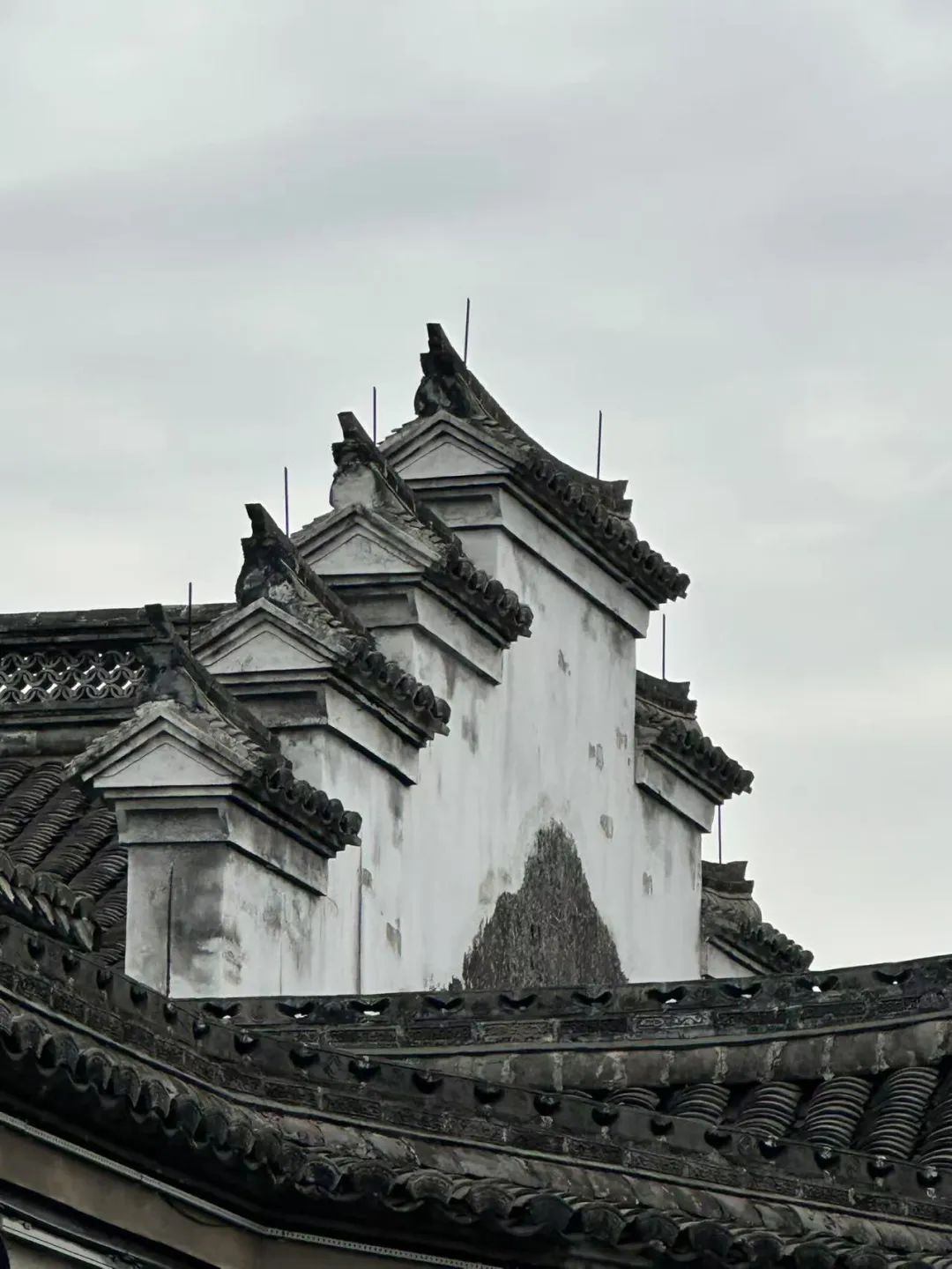 岑国荣丨鸣鹤古镇的文化魅力(图38) 图片