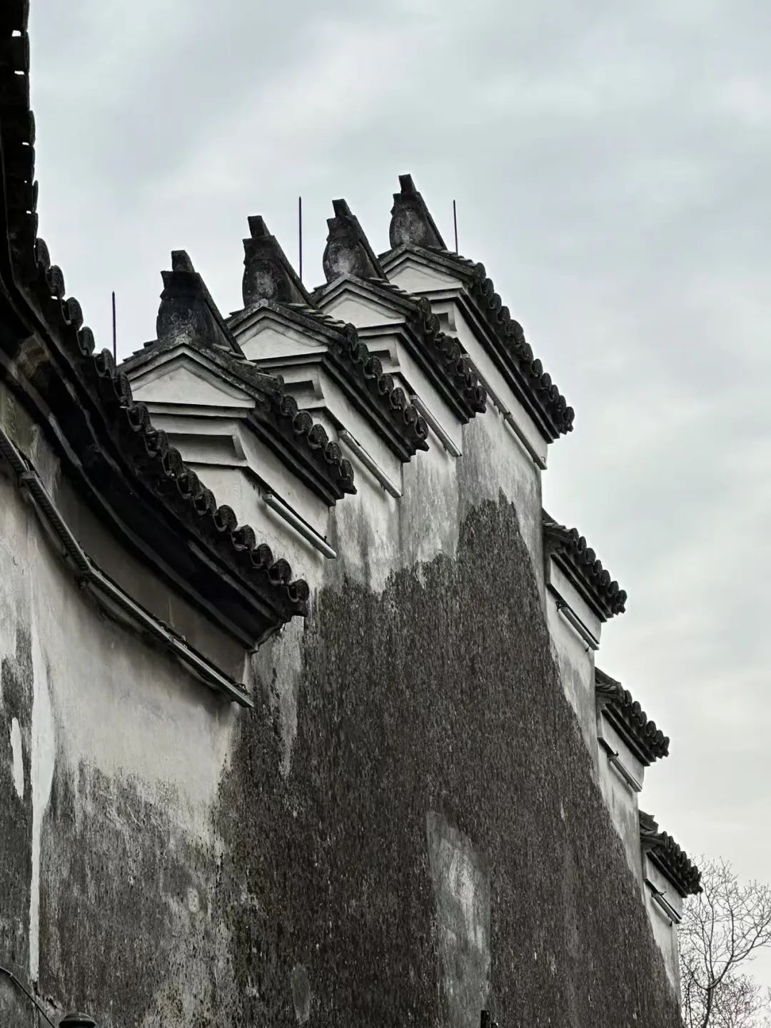 岑国荣丨鸣鹤古镇的文化魅力(图37) 图片