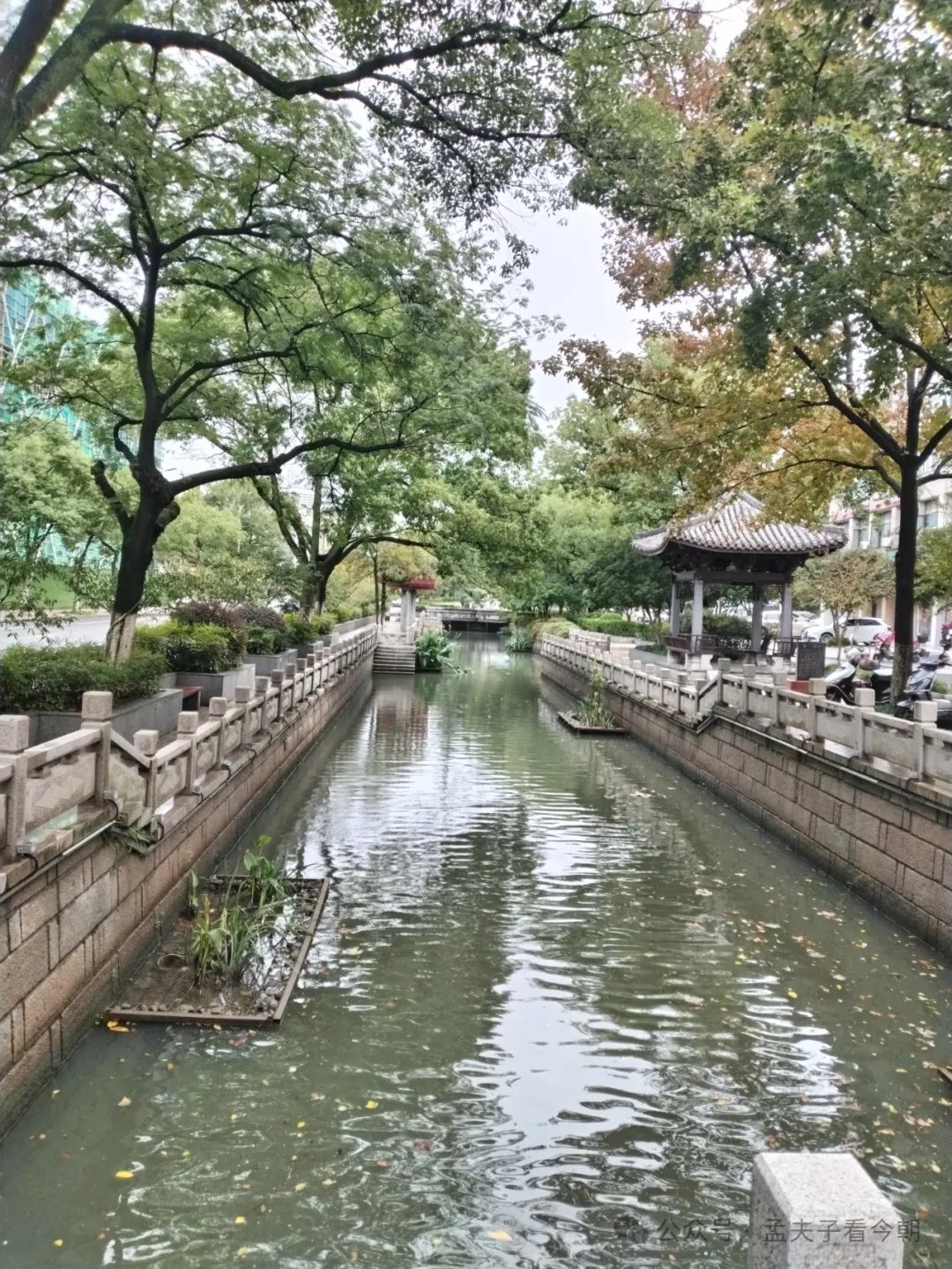 常处历史上游、时代前列的“金平湖”该咋补文明缺憾?(图35) 图片