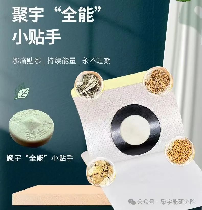 金日光教授:【永不忘当年钱老劝导我们“用当代科学传承《黄帝内经》医理和建立《中药本草》科学药理标准”的教导】• 四十九(图10) 图片