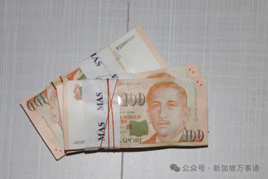 神秘男操盘新加坡跨国洗钱，洋房改成会所赌博、聚会！数名公民PR、中国人被抓…(图14)