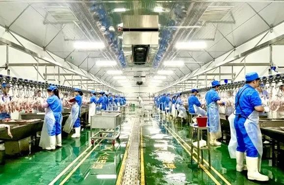 为什么一只活鸭上百元,一只烤鸭只要25元?(图3) 图片