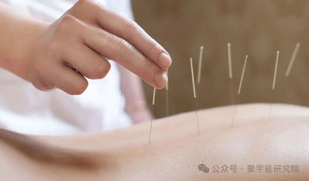 金日光教授:(六十五)永不忘当年钱老劝导我们“用当代科学传承《黄帝内经》医理和建立《中药本草》科学药理标准”的教导(图7) 金日光教授:(六十五)永不忘当年钱老劝导我们“用当代科学传承《黄帝内经》医理和建立《中药本草》科学药理标准”的教导(图7)