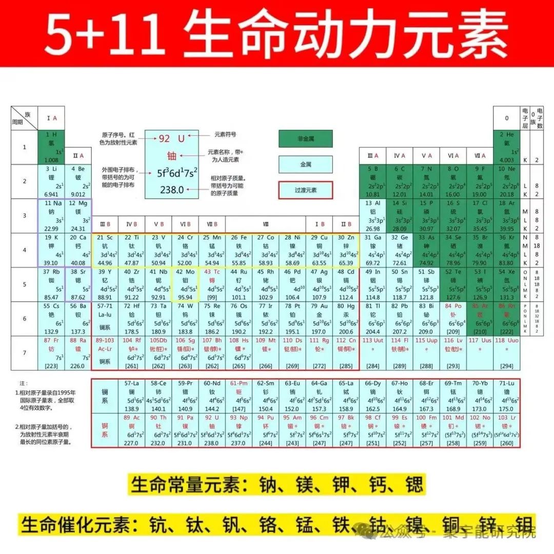 金日光教授:(六十六)永不忘当年钱老劝导我们“用当代科学传承《黄帝内经》医理和建立《中药本草》科学药理标准”的教导(图25) 金日光教授:(六十六)永不忘当年钱老劝导我们“用当代科学传承《黄帝内经》医理和建立《中药本草》科学药理标准”的教导(图25)