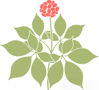 金日光教授:(六十八)永不忘当年钱老劝导我们“用当代科学传承《黄帝内经》医理和建立《中药本草》科学药理标准”的教导(图1) 图片