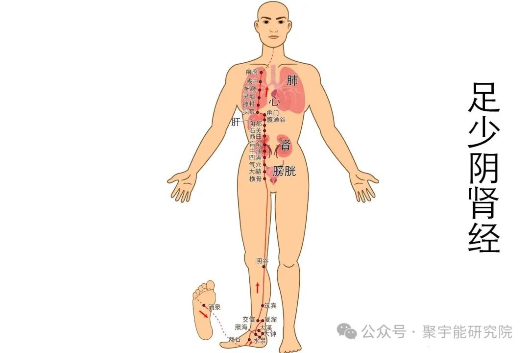 一个简单动作就能不生病?秘密在于“水火相济”!(图7) 一个简单动作就能不生病?秘密在于“水火相济”!(图7)