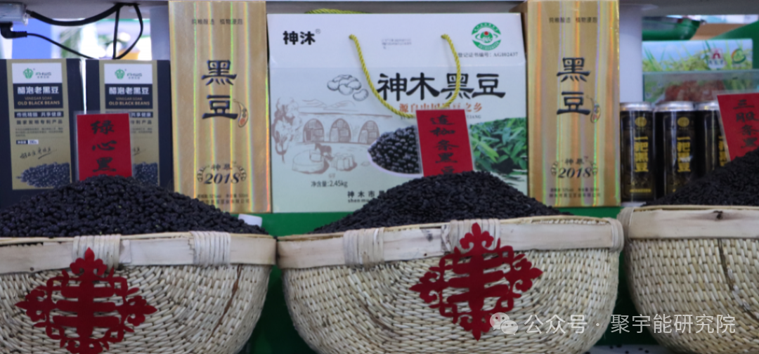 永不忘当年钱老劝导我们“用当代科学传承《黄帝内经》医理和建立《中药本草》科学药理标准”的教导·六十九(图5) 永不忘当年钱老劝导我们“用当代科学传承《黄帝内经》医理和建立《中药本草》科学药理标准”的教导·六十九(图5)