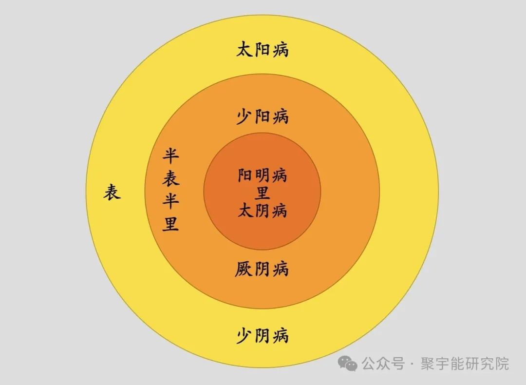 金日光教授:(七十四)永不忘当年钱老劝导我们“用当代科学传承《黄帝内经》医理和建立《中药本草》科学药理标准”的教导(图12) 金日光教授:(七十四)永不忘当年钱老劝导我们“用当代科学传承《黄帝内经》医理和建立《中药本草》科学药理标准”的教导(图12)