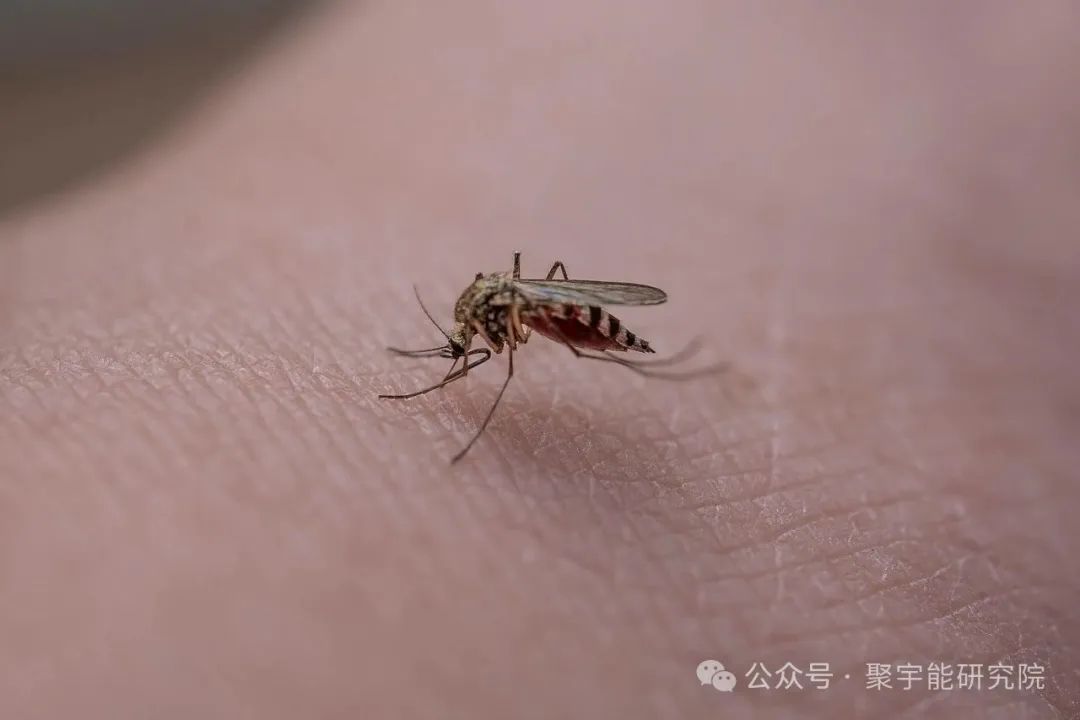 金日光教授:(七十五)永不忘当年钱老劝导我们“用当代科学传承《黄帝内经》医理和建立《中药本草》科学药理标准”的教导(图9) 金日光教授:(七十五)永不忘当年钱老劝导我们“用当代科学传承《黄帝内经》医理和建立《中药本草》科学药理标准”的教导(图9)