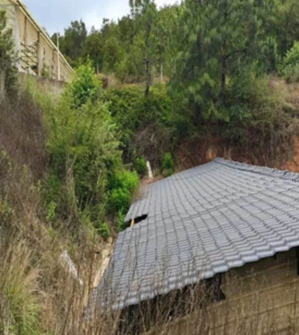 3人在猪粪池中毒溺亡,事故原因披露(图1) 3人在猪粪池中毒溺亡,事故原因披露(图1)