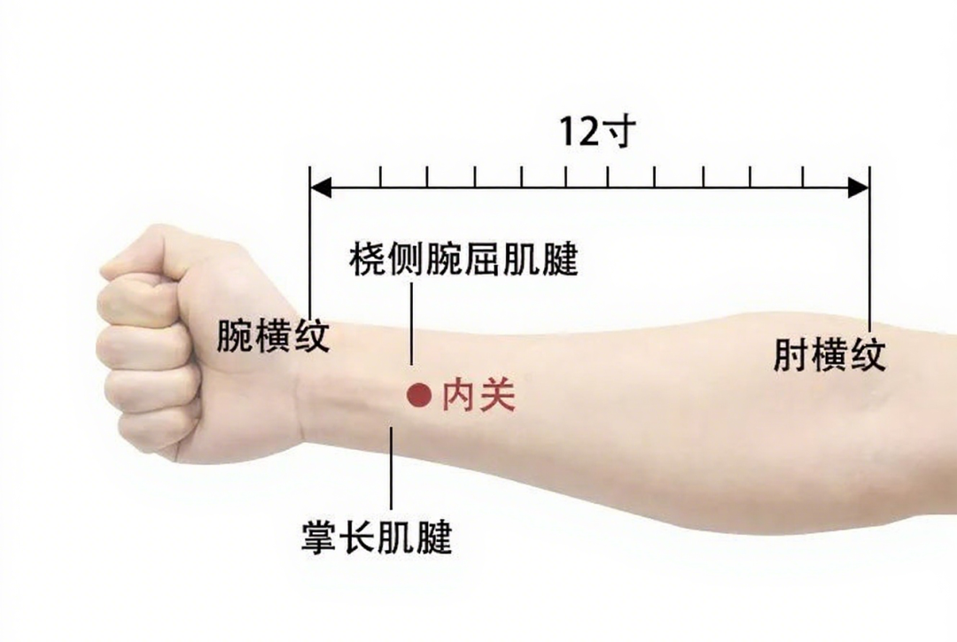 金日光教授:(七十八)永不忘当年钱老劝导我们“用当代科学传承《黄帝内经》医理和建立《中药本草》科学药理标准”的教导(图5) 金日光教授:(七十八)永不忘当年钱老劝导我们“用当代科学传承《黄帝内经》医理和建立《中药本草》科学药理标准”的教导(图5)