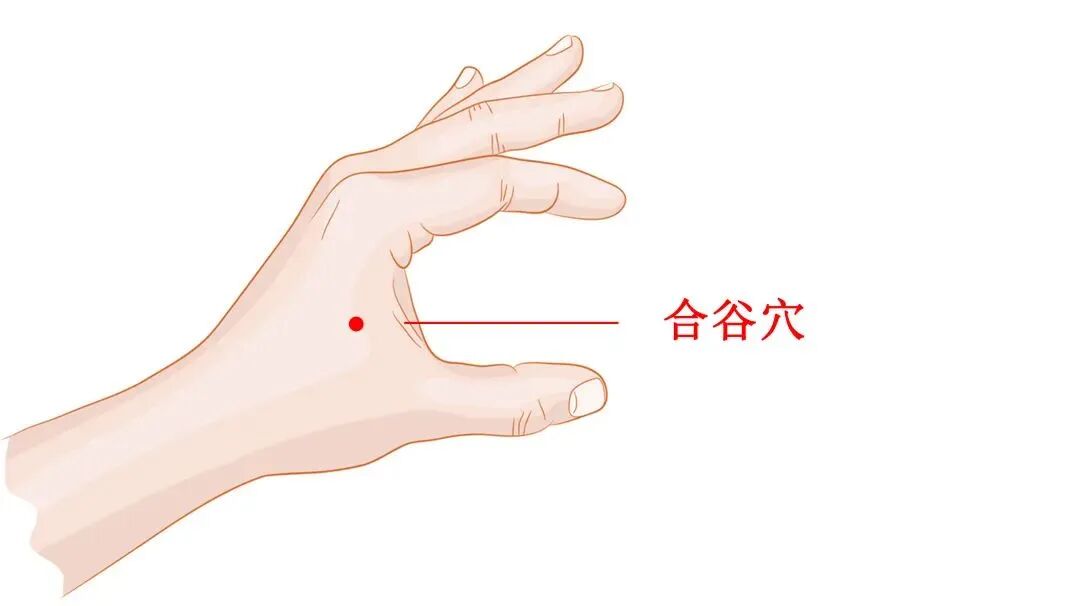 金日光教授:(七十八)永不忘当年钱老劝导我们“用当代科学传承《黄帝内经》医理和建立《中药本草》科学药理标准”的教导(图10) 金日光教授:(七十八)永不忘当年钱老劝导我们“用当代科学传承《黄帝内经》医理和建立《中药本草》科学药理标准”的教导(图10)