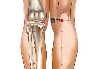 金日光教授:(七十八)永不忘当年钱老劝导我们“用当代科学传承《黄帝内经》医理和建立《中药本草》科学药理标准”的教导(图20) 金日光教授:(七十八)永不忘当年钱老劝导我们“用当代科学传承《黄帝内经》医理和建立《中药本草》科学药理标准”的教导(图20)