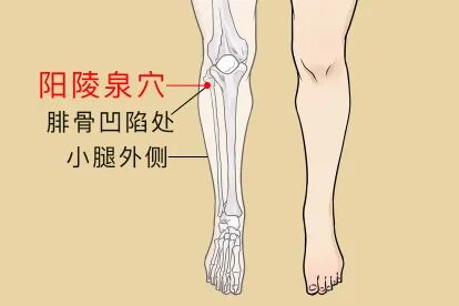 金日光教授:(七十八)永不忘当年钱老劝导我们“用当代科学传承《黄帝内经》医理和建立《中药本草》科学药理标准”的教导(图22) 金日光教授:(七十八)永不忘当年钱老劝导我们“用当代科学传承《黄帝内经》医理和建立《中药本草》科学药理标准”的教导(图22)