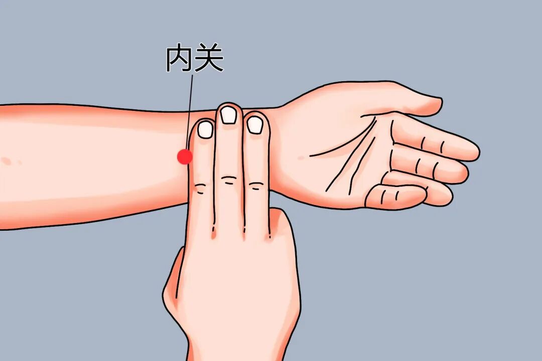 金日光教授:(七十八)永不忘当年钱老劝导我们“用当代科学传承《黄帝内经》医理和建立《中药本草》科学药理标准”的教导(图25) 金日光教授:(七十八)永不忘当年钱老劝导我们“用当代科学传承《黄帝内经》医理和建立《中药本草》科学药理标准”的教导(图25)