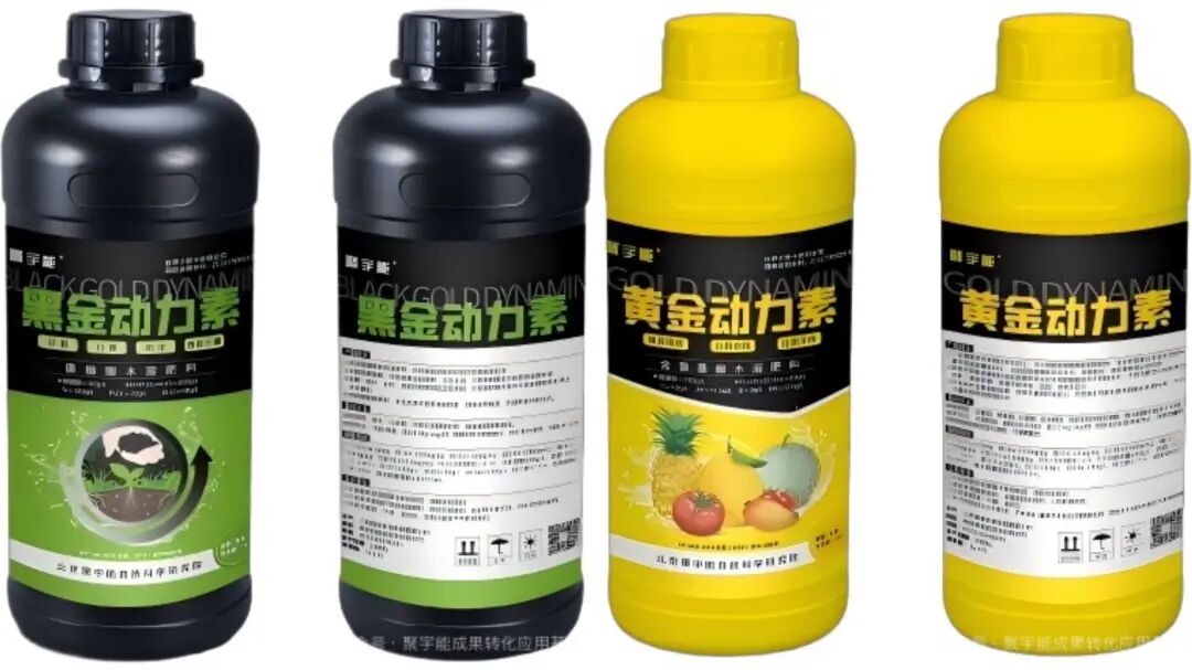 金日光教授:(七十九)永不忘当年钱老劝导我们“用当代科学传承《黄帝内经》医理和建立《中药本草》科学药理标准”的教导(图8) 金日光教授:(七十九)永不忘当年钱老劝导我们“用当代科学传承《黄帝内经》医理和建立《中药本草》科学药理标准”的教导(图8)