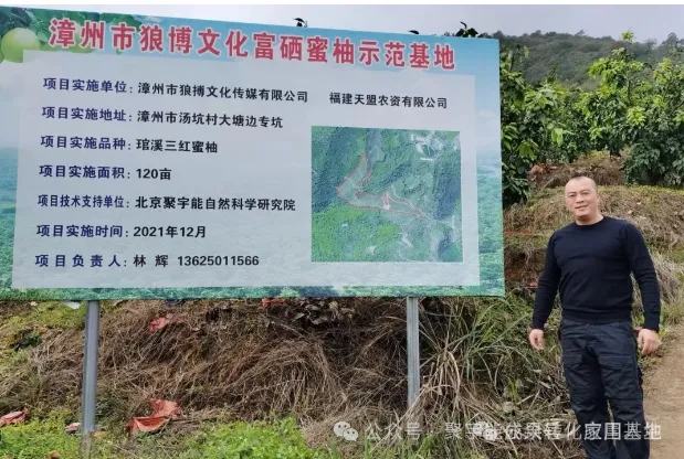 聚宇能黑金动力素助力漳州柚子种植(图6) 聚宇能黑金动力素助力漳州柚子种植(图6)