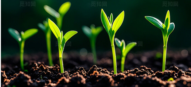 金日光教授:天冷了,早晨洗脸用冷水还是热水好?(图2) 金日光教授:天冷了,早晨洗脸用冷水还是热水好?(图2)