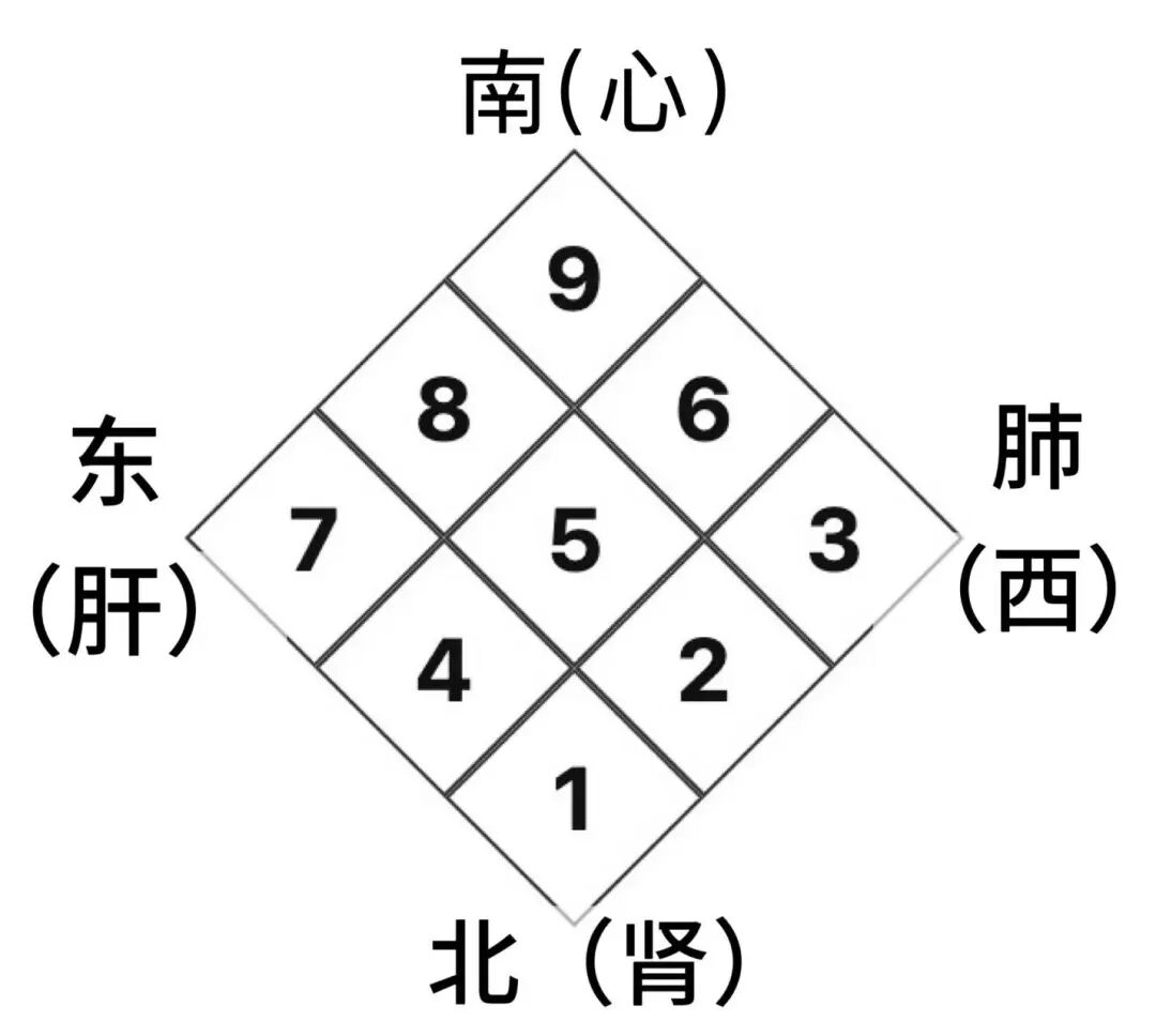新篇|金日光教授:(十)如何看待当前的医理和药理?(图3) 新篇|金日光教授:(十)如何看待当前的医理和药理?(图3)