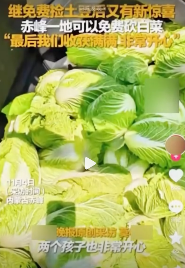 一则谣言毁了近200亩白菜,损失逾百万!责任谁担?(图5) 2a.png