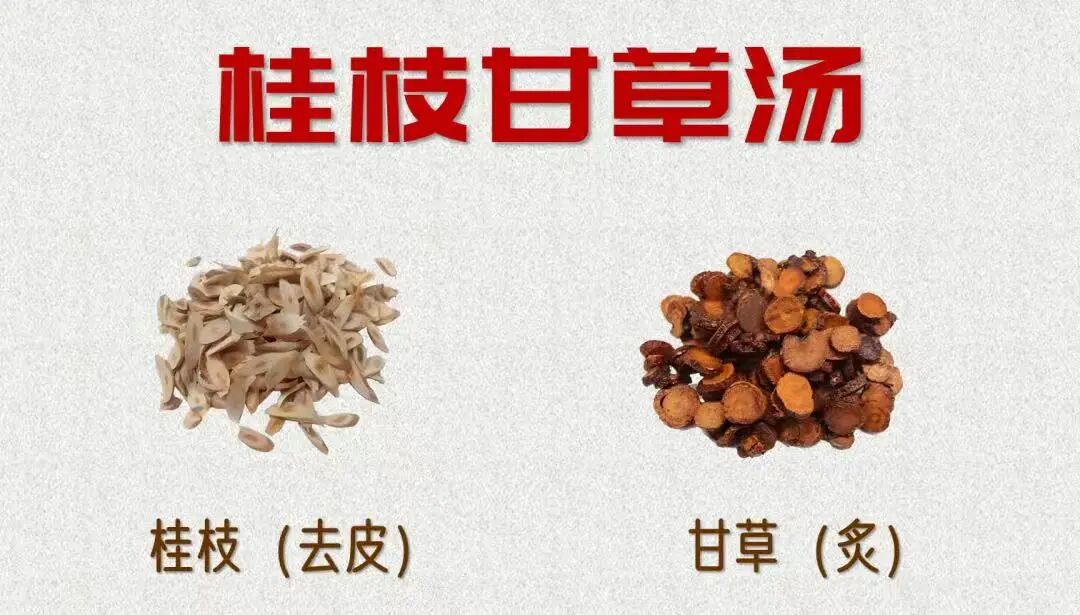 金日光教授:(十二)如何看待当前的医理和药理?(图5) 金日光教授:(十二)如何看待当前的医理和药理?(图5)