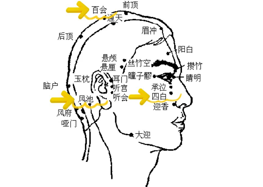 金日光教授:(十三)如何看待当前的医理和药理?(图2) 金日光教授:(十三)如何看待当前的医理和药理?(图2)